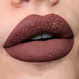 Waterproof Matte Lipstick, Long-Lasting Lip Color, Easy to Apply, High Pigment Lipstick, Suitable for All Parties and Festivals